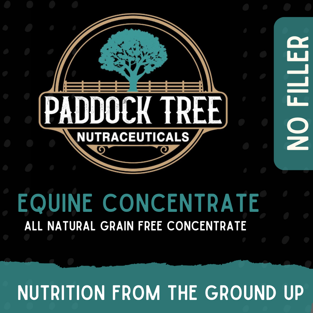 Equine Concentrate 22Kg